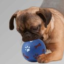 (주)노즈워크 이미지