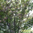 쌍봉농장 이미지