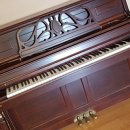 진영상회 이미지