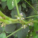 선행농원 이미지