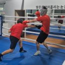 용인대W복싱짐 이미지