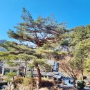 제천용두산(871m).....2024/12/24 이미지