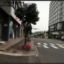 서귀동-1 이미지