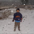 신광초교 이미지