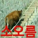 아이캔유치원 이미지