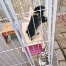 비비정각 앞 | 정읍 아이와 가볼만한곳 / 비비포레