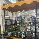 농협본점 | 일산 꽃시장 식물인들의 성지 ‘일산 화훼 농협 본점’ 털고 온 후기