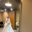 호림빌딩 | [드레스] 셀레브 지정 이미지투어 꿀팁 후기 본식드레스 2부드레스 2026 셀레브 신상드레스 후기