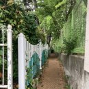 순이네야식 이미지