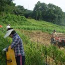 고천농장 이미지