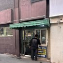 도그트리 | 애견프로필 촬영은 역시 도그백, 자연스러움이 다른 반려견 스튜디오