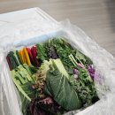 농부의 꿈 이미지