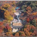 삼성사 이미지