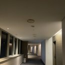 자작나무호텔 | 강원도 인제 자작나무숲 겨울 여행, 인제 스피디움 호텔 숙박 후기