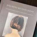 종합운동장 가로수길 이미지