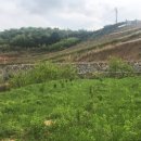 달나무농장 이미지