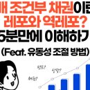 레포 이미지