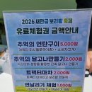 보리밭 | 계획 없이 갔다가 대박… 김제 새만금 보리밭 축제 리얼 후기