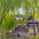 한국사 속 숨겨진 비밀 | 수원 효원공원 월화원 숨겨진 비밀정원