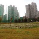 호미골체육공원 이미지