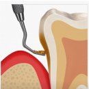 e웰니스치과의원 이미지
