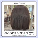 모래내시장역 | [내돈내산] 26도헤어 모래내시장역점 태슬컷 애쉬 브라운 염색 후기