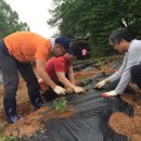 김양원농장 이미지