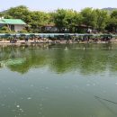 한샘청수낚시터 이미지