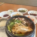 청담 복어맛집 ㅣ 복이오복국 밀복 후기