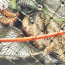 인천 락 실내바다낚시터 이미지