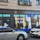우쭈쭈플렉스 강아지 미용 이미지