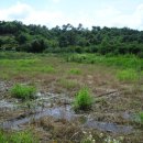 공주시탄천면덕지보건진료소 이미지