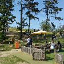 코코애견클럽 이미지