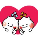 대일에듀 이미지