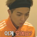 어은돌야영장 이미지