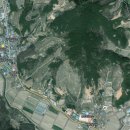 바른정부동산중개사무소 이미지