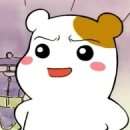 고기카페 - 경주시 | 고기카페