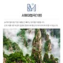 태평여행사 이미지