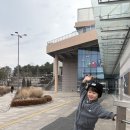 동명카츠춘천우두점 | 춘천 아이랑 가볼 만한 곳 | 국립춘천 박물관 어린이 박물관 체험 + 텐텐카츠 + 파머스 가든