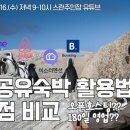 위홈365