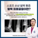 바로스포츠