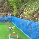 꼬꼬놀이터 이미지