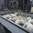 은진주유소 이미지