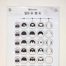 영양쎈타 분당점 | 야탑탈모 여성 탈모 두피관리 후기｜엠지에프두피탈모 분당야탑점