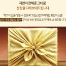 자이언트청과