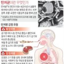 에볼라,탄저균,메르스 격암유록의 예언의 현실화? 이미지