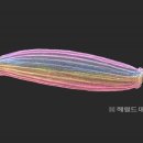 백두대간 자생씨앗 아름다움에 반하다 이미지