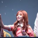 비올레타