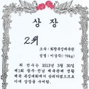 2013년 3월 30일 광주.전남 체육관배 생활체육 복싱대회 이미지