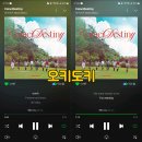 [오키도키] 위키미키 Weki Meki [CoinciDestiny] 스트리밍 인증 이미지